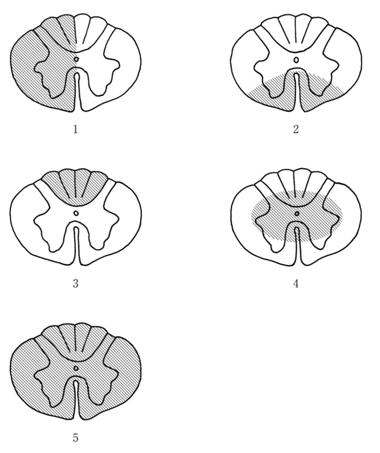 問題6の図