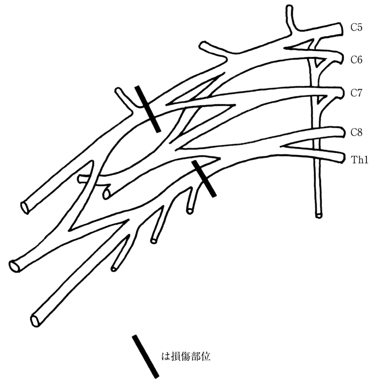 問題8の図