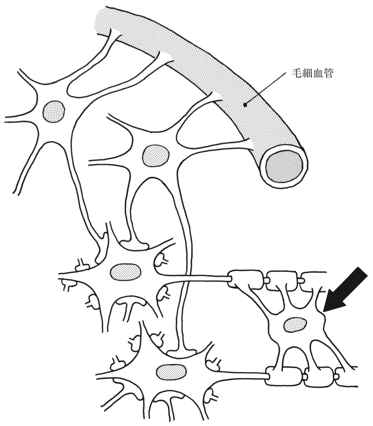 問題54の図